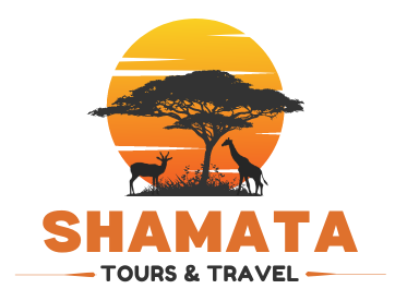 Shamata Tours & Travel